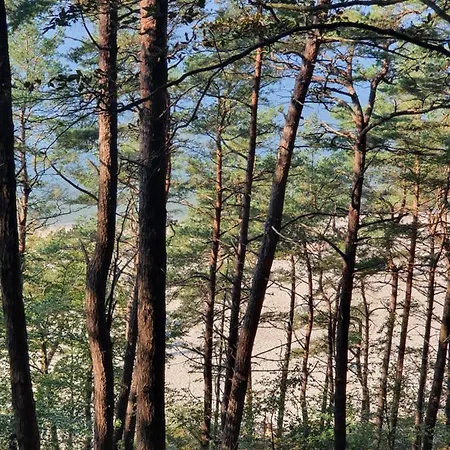 Prestige & Sea Balticus A4 *