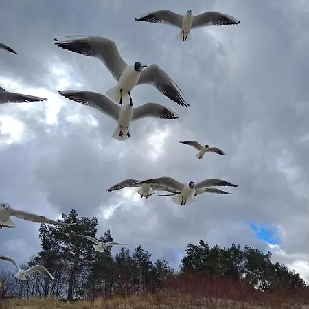 アパート Prestige & Sea Balticus A4 *